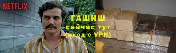 молекула духа Ладушкин