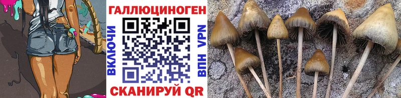 Галлюциногенные грибы MAGIC MUSHROOMS  купить наркотики сайты  кракен ссылки  Карабаш 